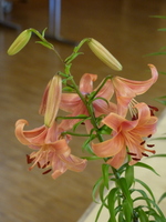 Foto: Dr. Peter Müller